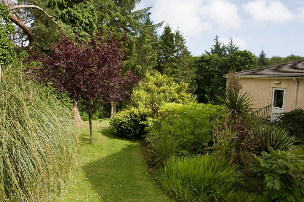 Cwmwennol Country House Saundersfoot Exterior foto