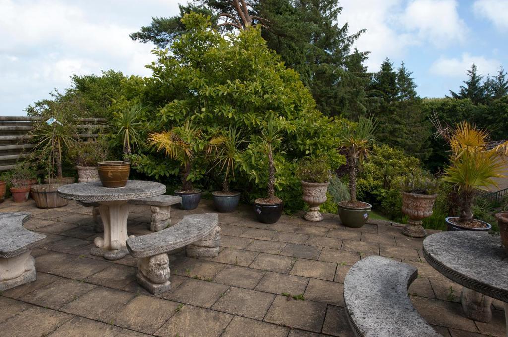 Cwmwennol Country House Saundersfoot Exterior foto